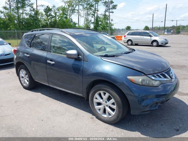 Photo 0 VIN: JN8AZ1MW9DW318317 - NISSAN MURANO 