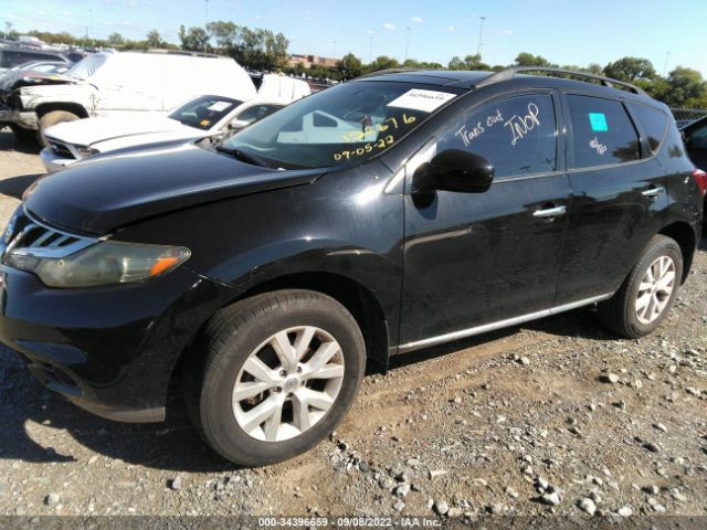 Photo 5 VIN: JN8AZ1MWXBW152676 - NISSAN MURANO 