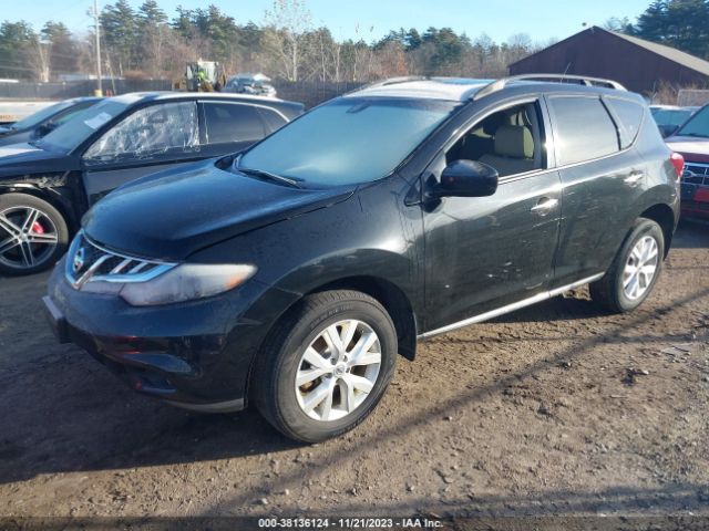 Photo 1 VIN: JN8AZ1MWXEW504966 - NISSAN MURANO 