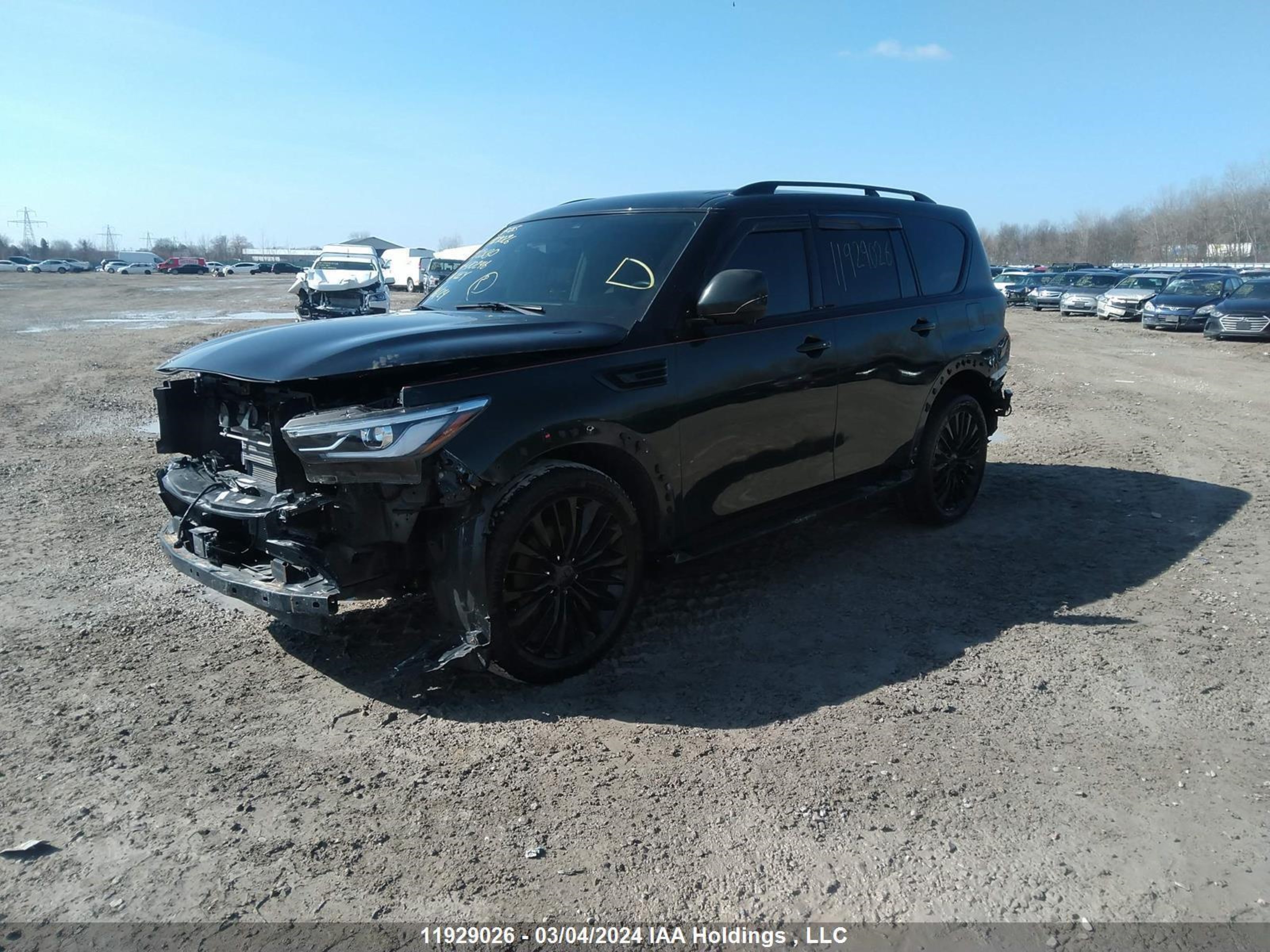 Photo 1 VIN: JN8AZ2NC5L9470246 - INFINITI QX80 