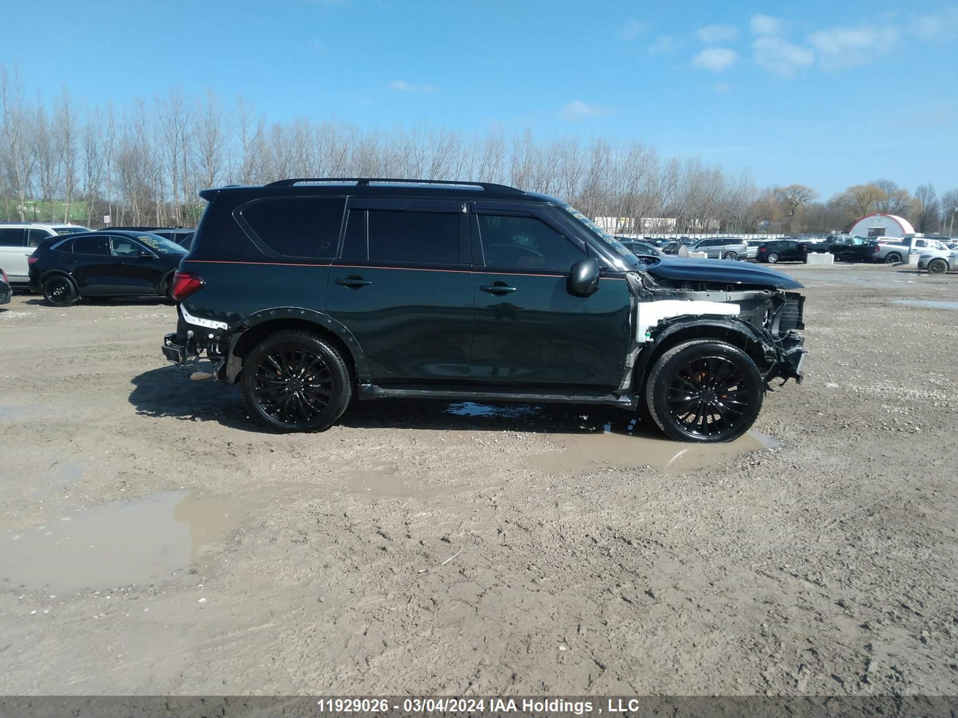 Photo 13 VIN: JN8AZ2NC5L9470246 - INFINITI QX80 