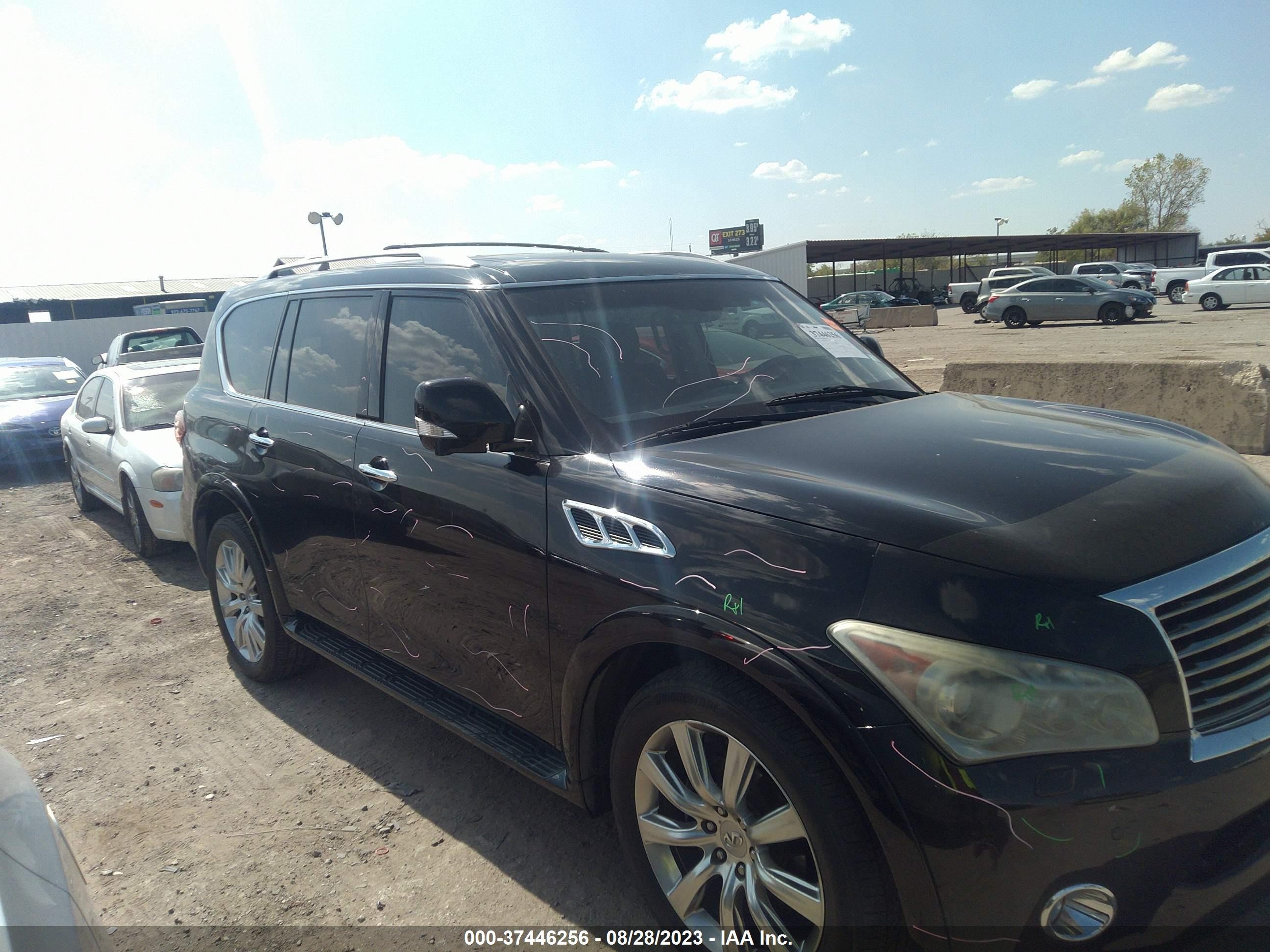 Photo 12 VIN: JN8AZ2NDXD9730179 - INFINITI QX56 