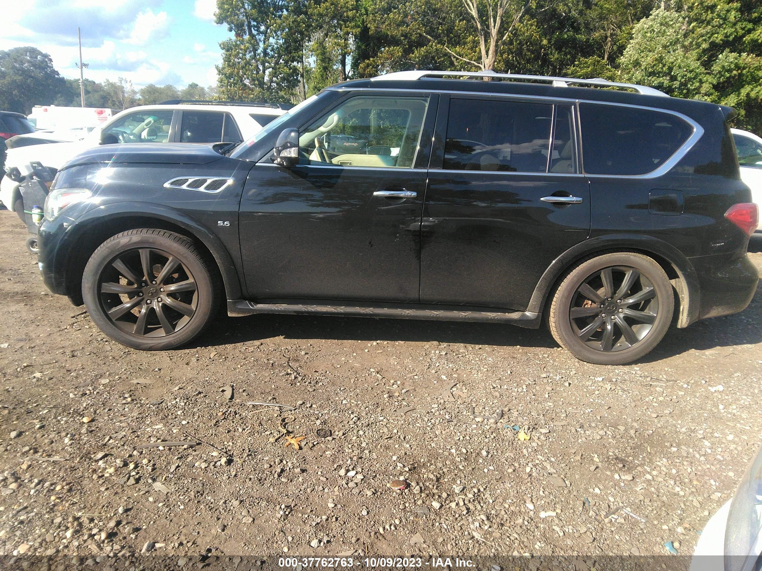 Photo 14 VIN: JN8AZ2NE4E9065385 - INFINITI QX80 