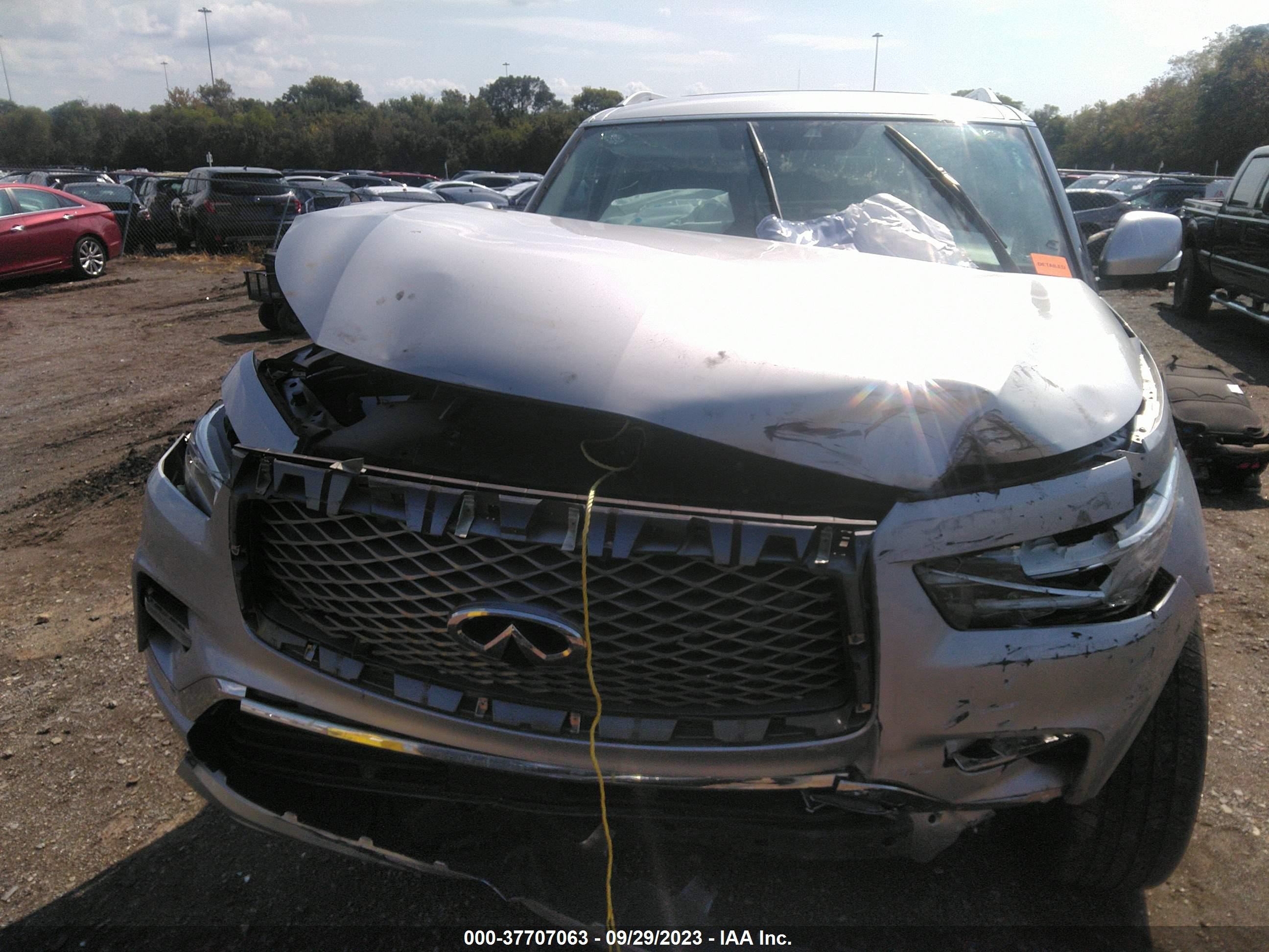 Photo 11 VIN: JN8AZ2NE6K9228050 - INFINITI QX80 