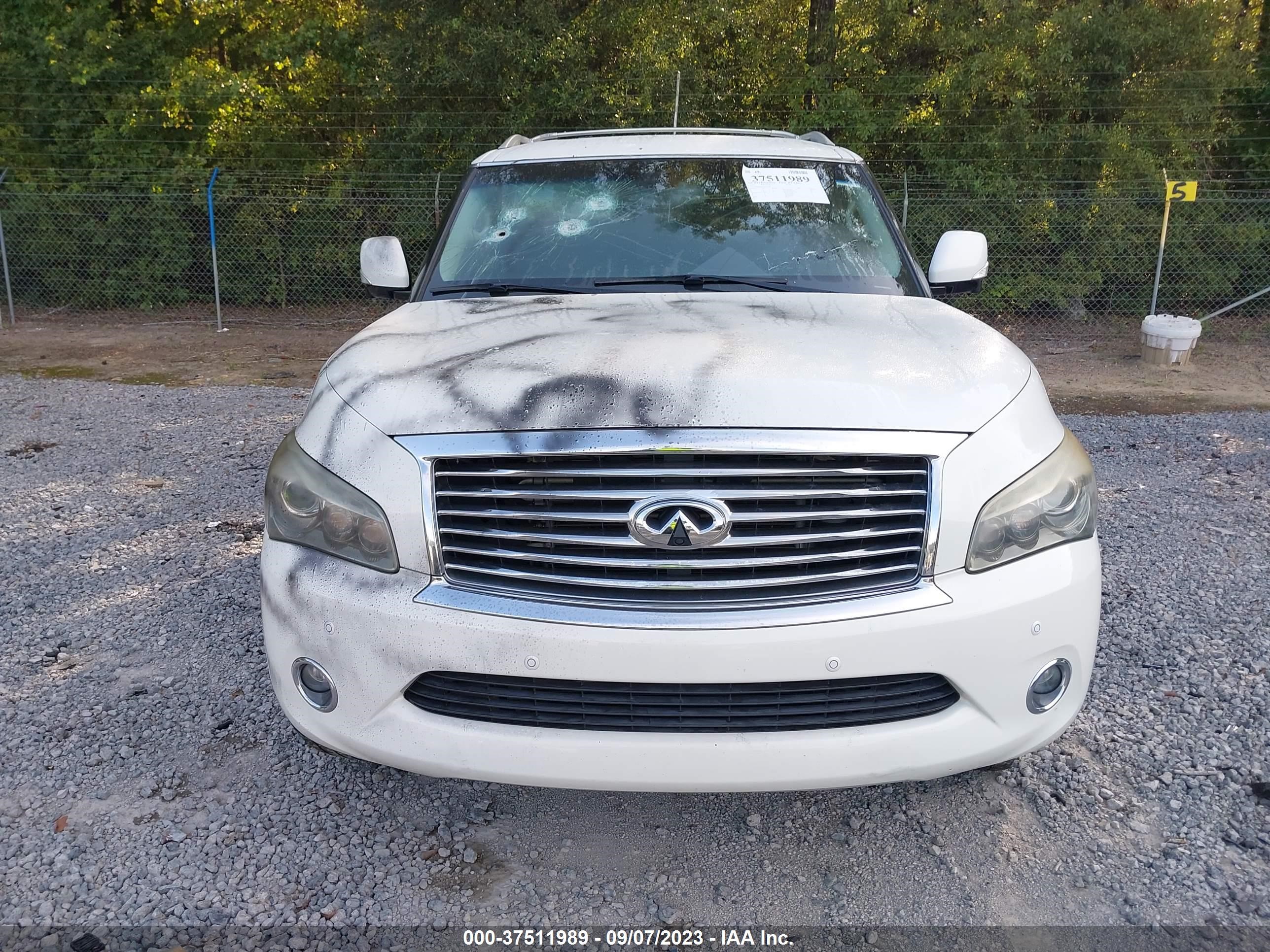 Photo 11 VIN: JN8AZ2NE7E9067650 - INFINITI QX80 