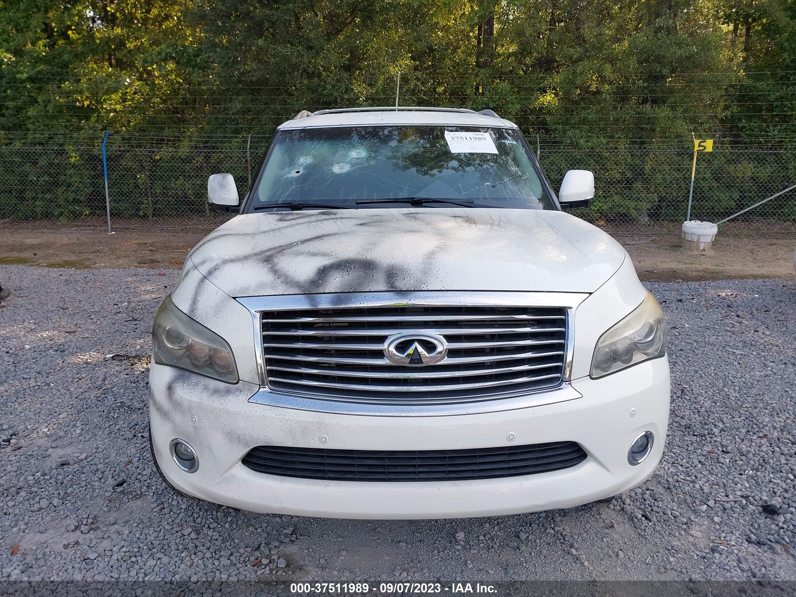 Photo 5 VIN: JN8AZ2NE7E9067650 - INFINITI QX80 