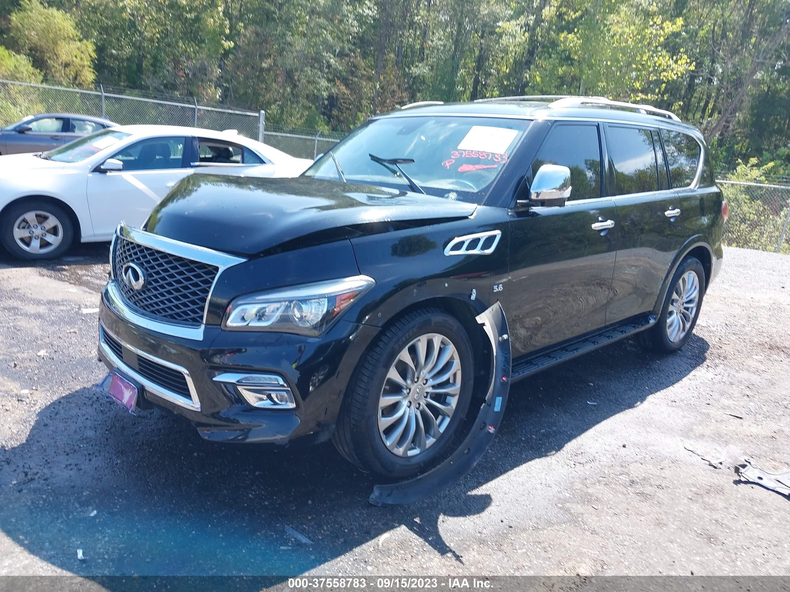 Photo 1 VIN: JN8AZ2NF0G9611384 - INFINITI QX80 