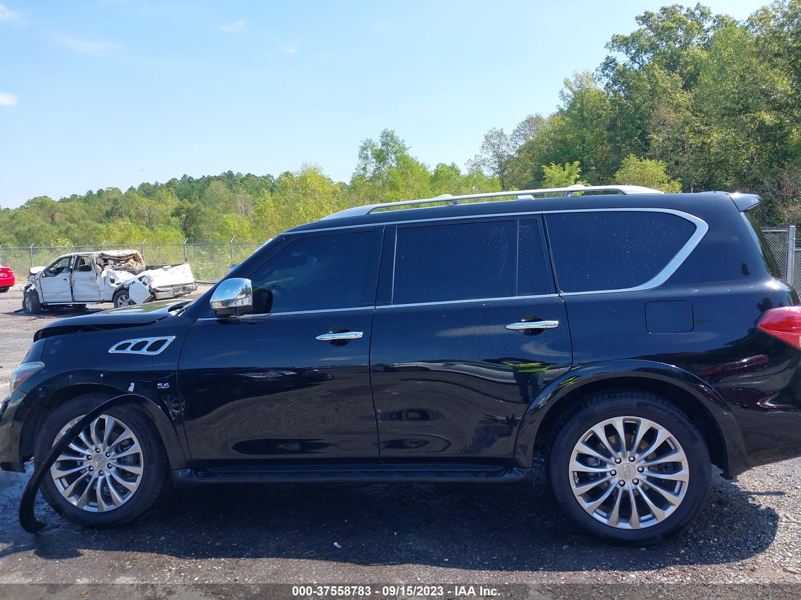 Photo 13 VIN: JN8AZ2NF0G9611384 - INFINITI QX80 