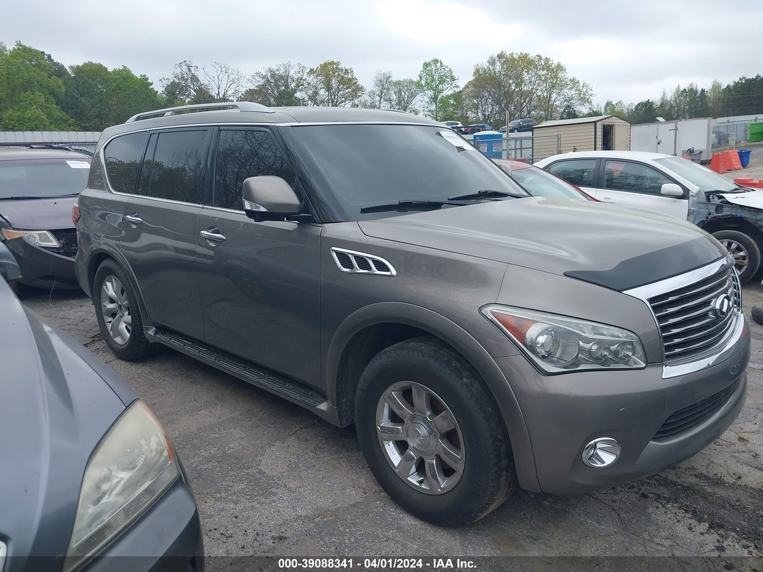 Photo 12 VIN: JN8AZ2NF5D9530537 - INFINITI QX56 