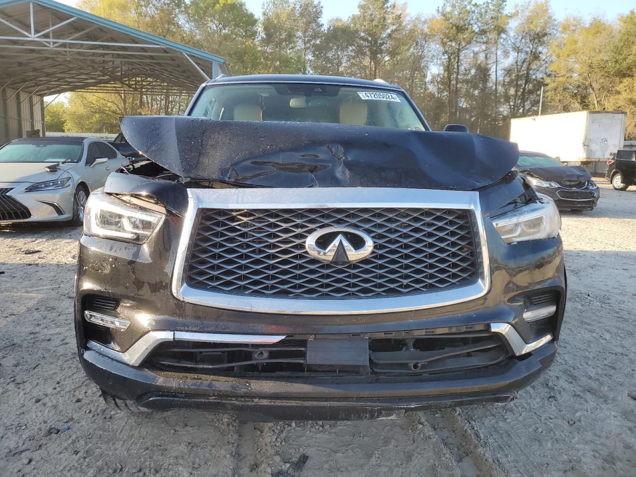 Photo 4 VIN: JN8AZ2NF5K9680483 - INFINITI QX80 