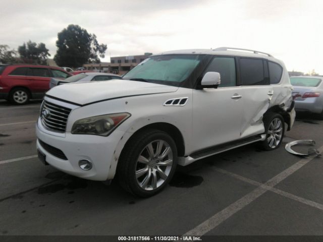 Photo 1 VIN: JN8AZ2NF8B9503099 - INFINITI QX56 