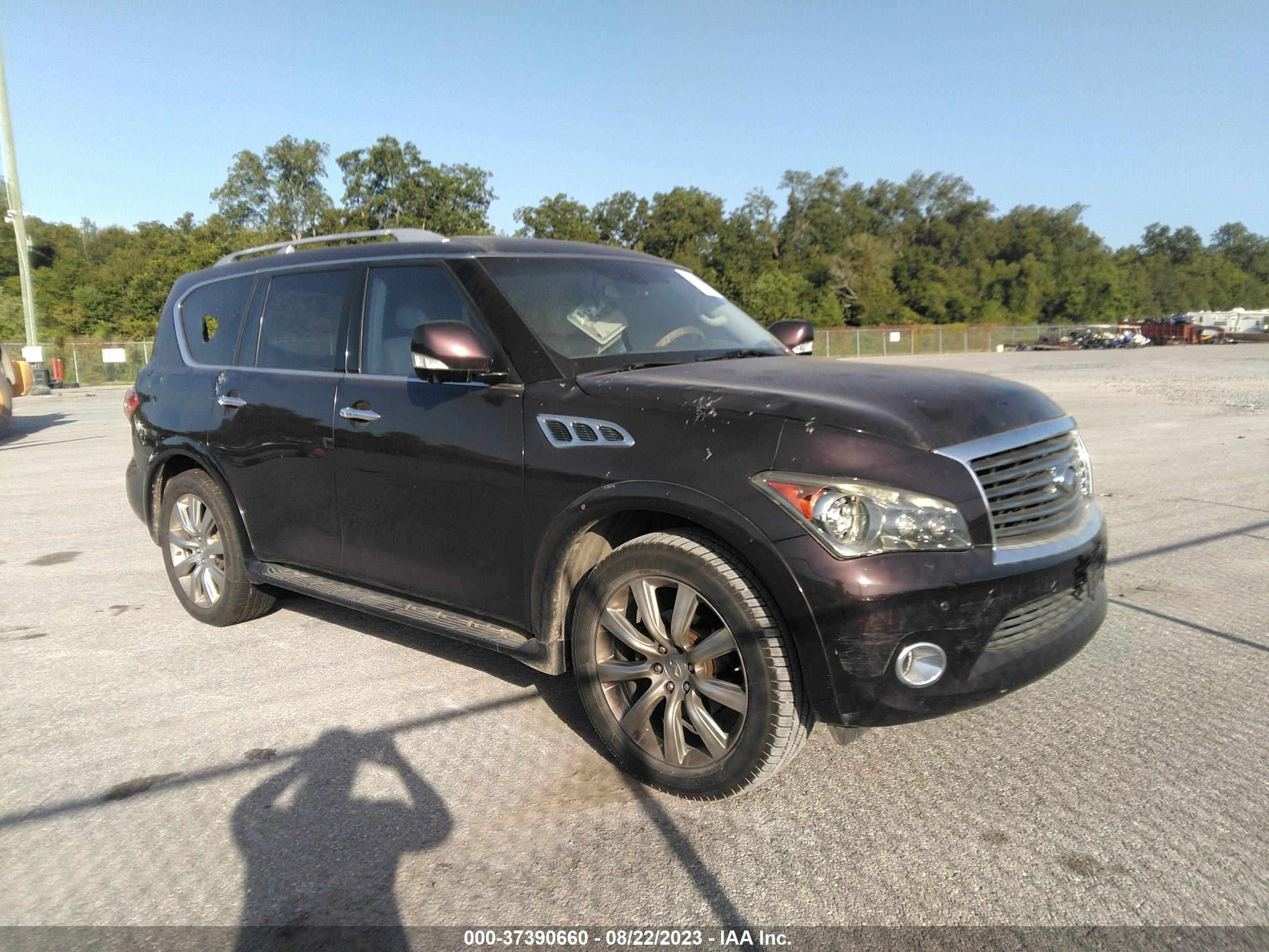 Photo 0 VIN: JN8AZ2NF8C9519417 - INFINITI QX56 