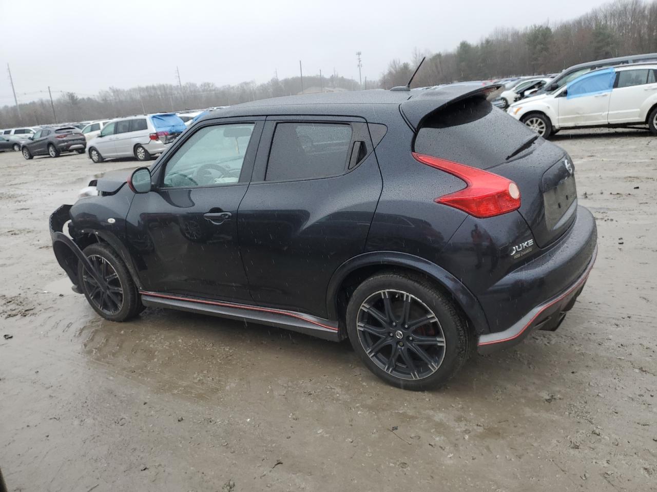 Photo 1 VIN: JN8DF5MVXET150064 - NISSAN JUKE 