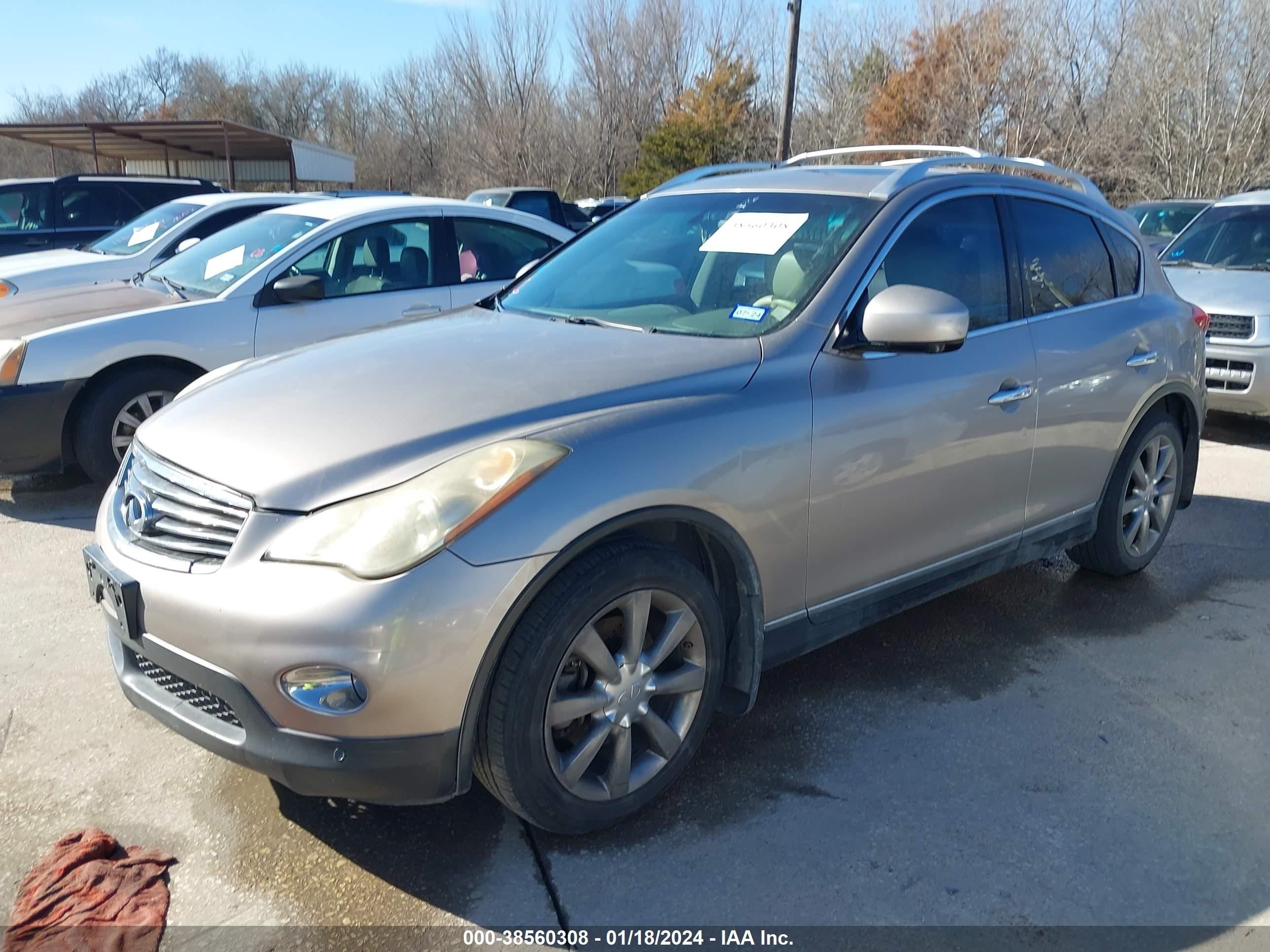 Photo 1 VIN: JNKAJ09E89M900469 - INFINITI EX 