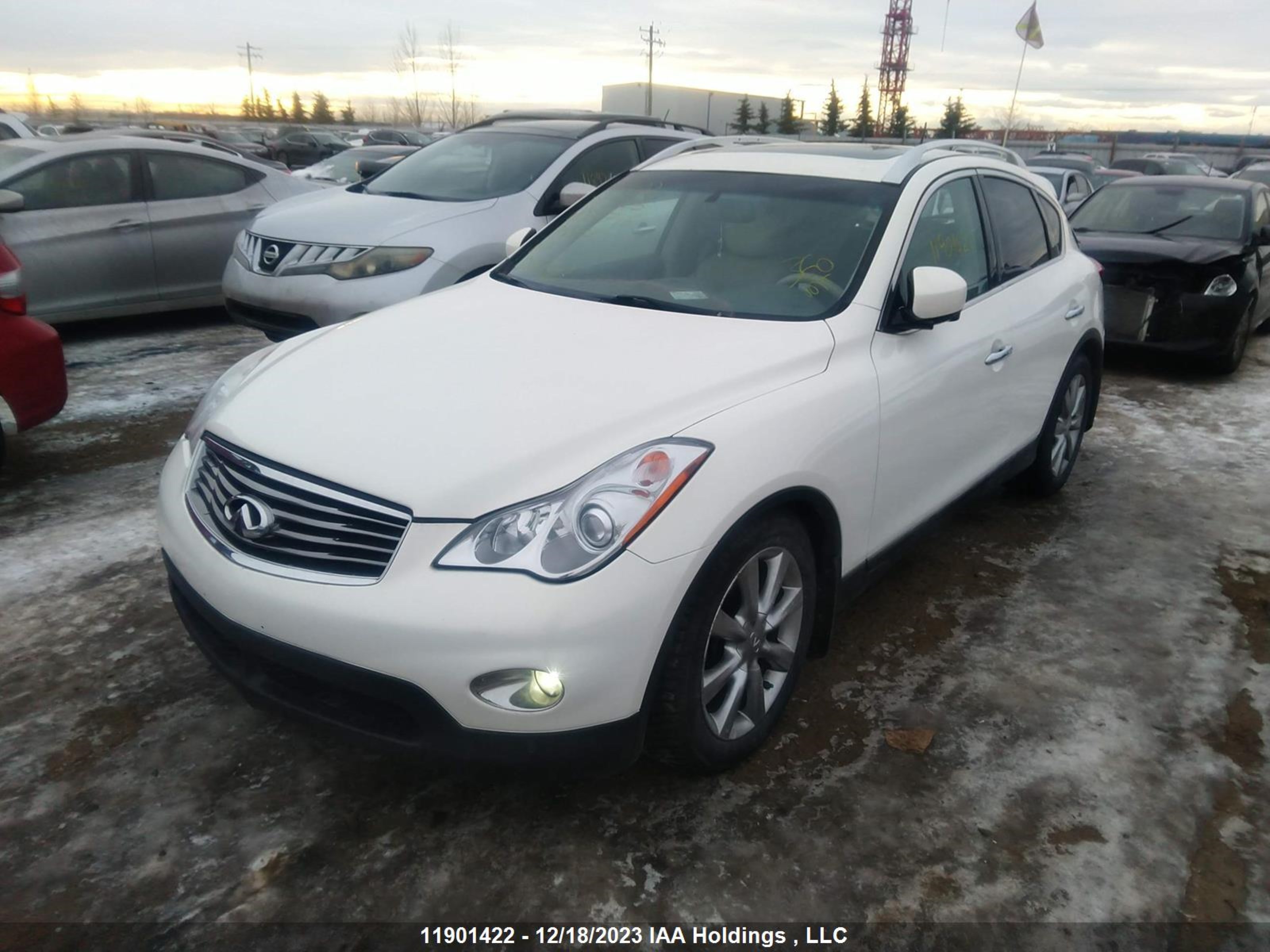 Photo 1 VIN: JNKAJ09F58M356746 - INFINITI EX 