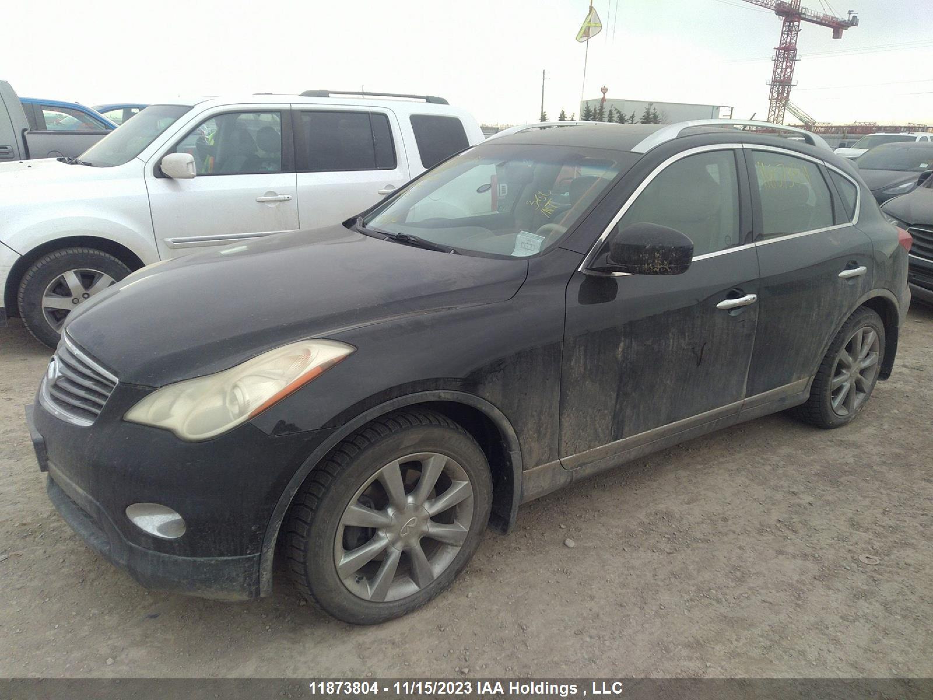 Photo 1 VIN: JNKAJ09F69M950019 - INFINITI EX 