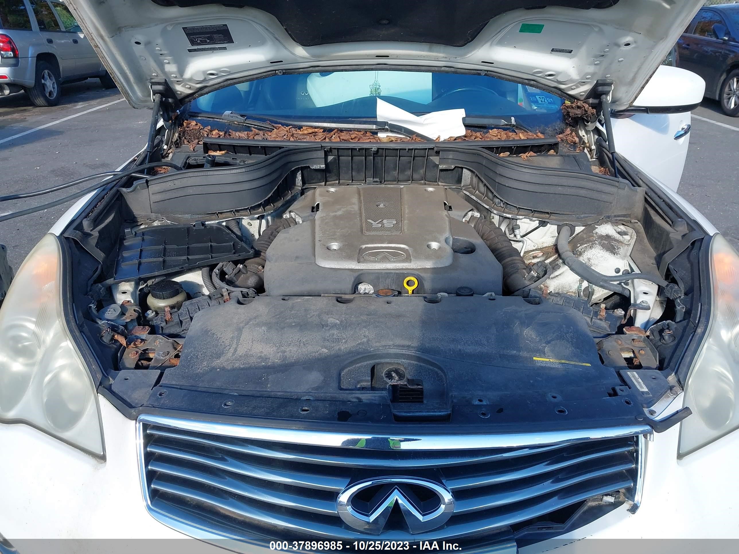 Photo 9 VIN: JNKAJ09F88M353274 - INFINITI EX 