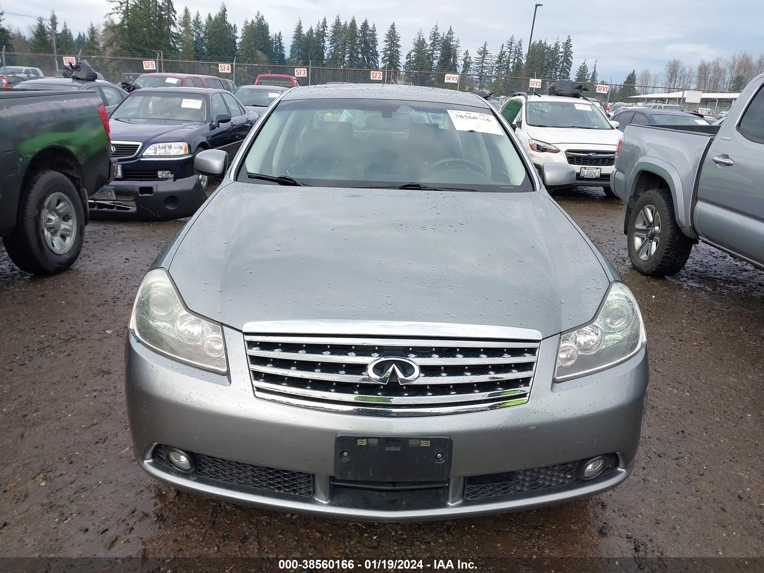 Photo 11 VIN: JNKAY01E86M116957 - INFINITI M 