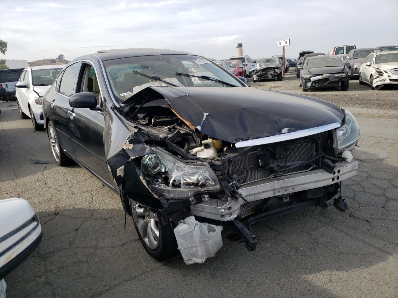 Photo 3 VIN: JNKAY01EX6M117494 - INFINITI M 