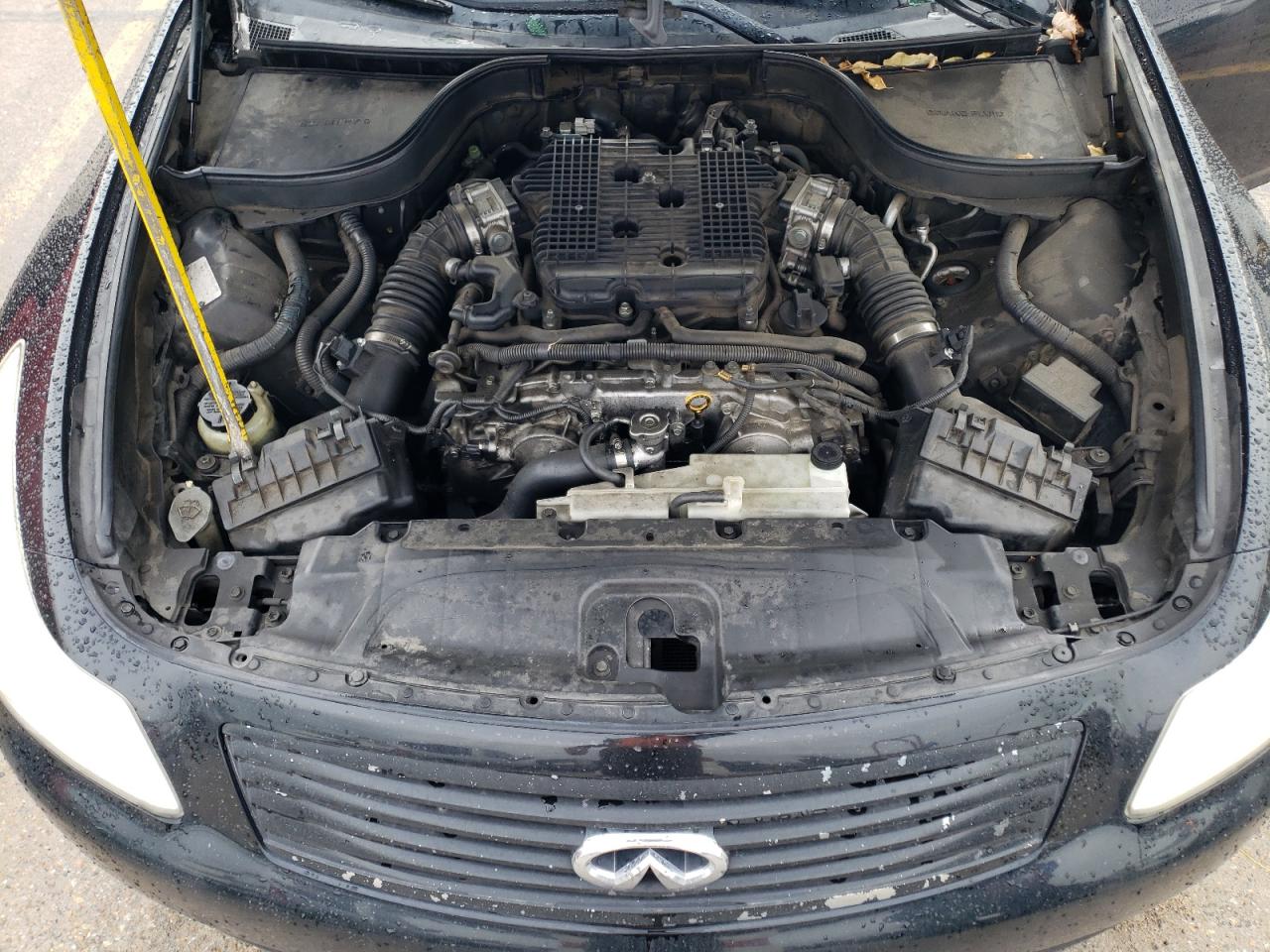 Photo 10 VIN: JNKCV61E59M303842 - INFINITI G 