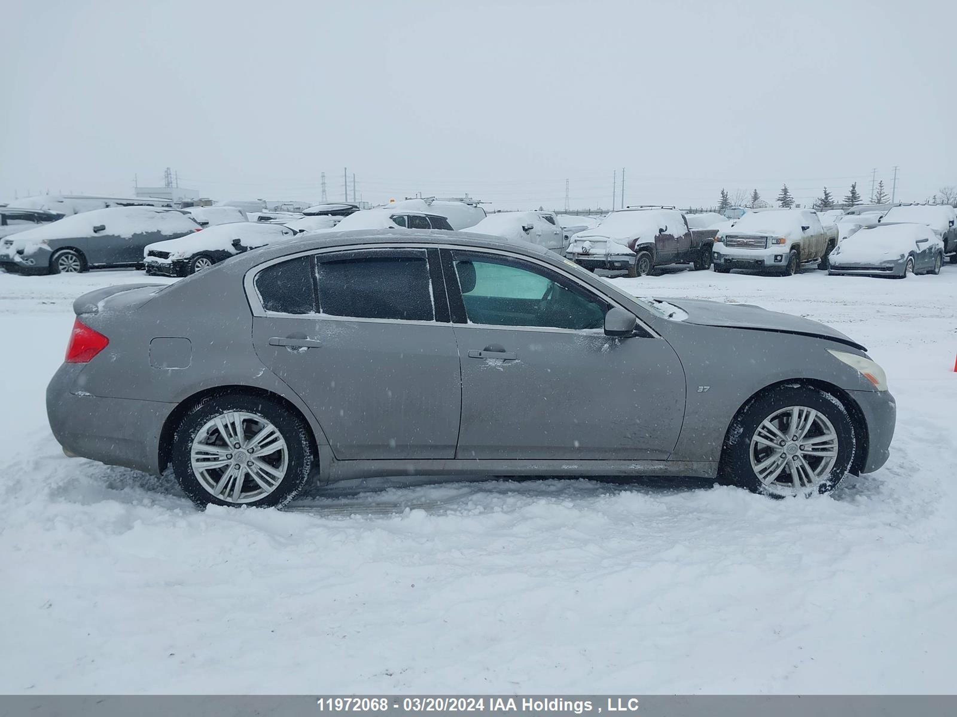 Photo 12 VIN: JNKCV61F69M365663 - INFINITI G 