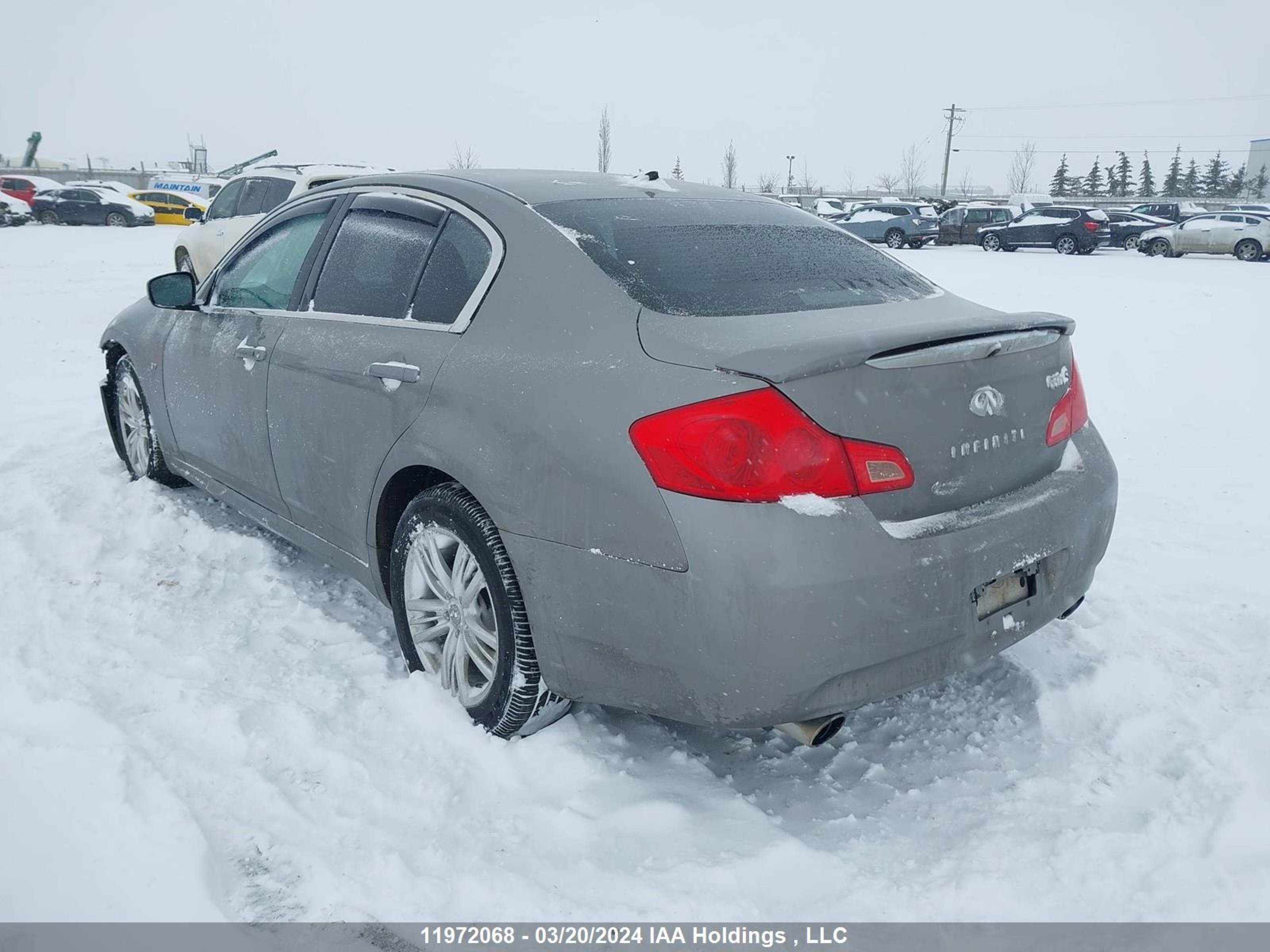 Photo 2 VIN: JNKCV61F69M365663 - INFINITI G 