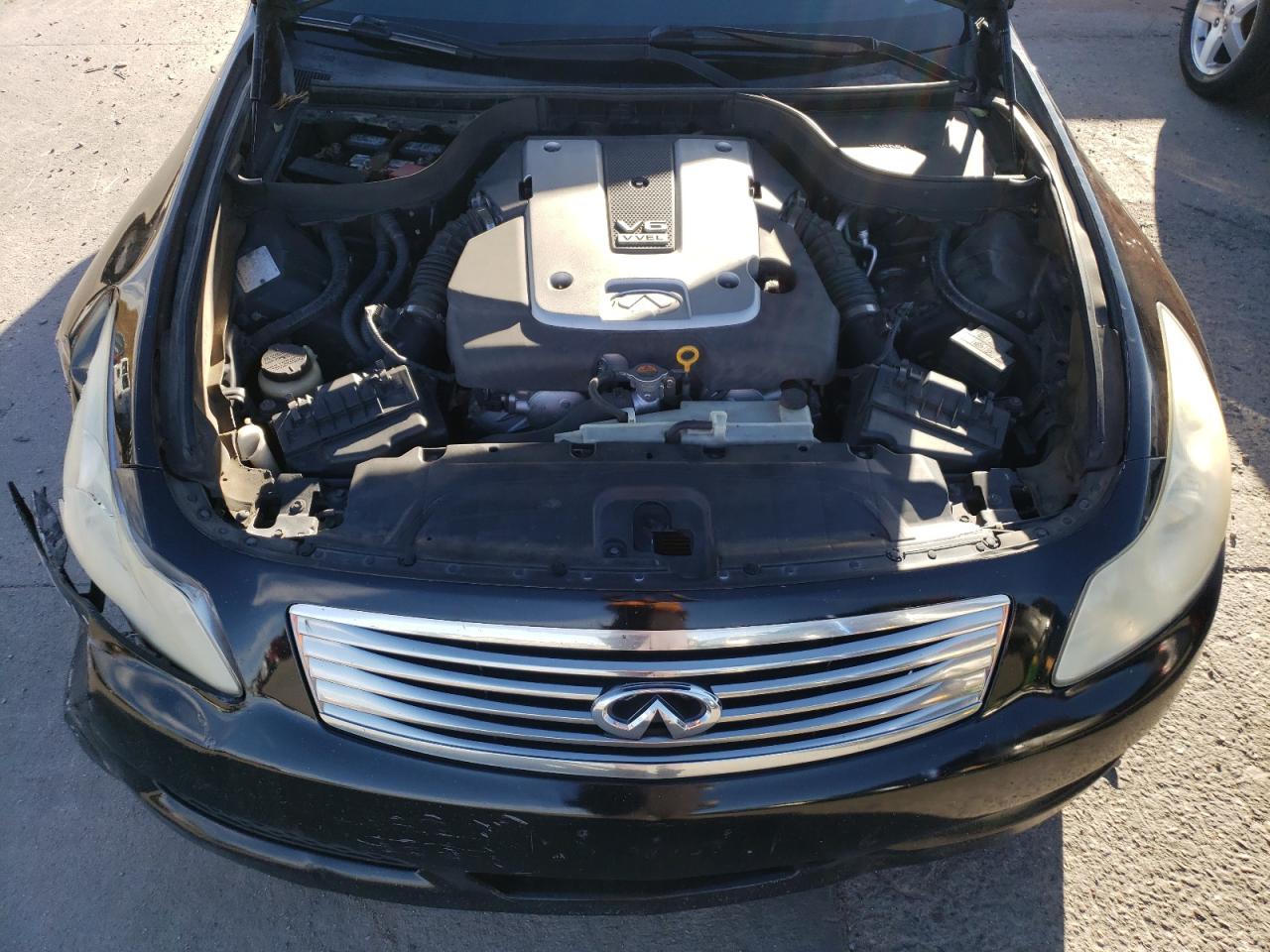 Photo 10 VIN: JNKCV61F89M051366 - INFINITI G 