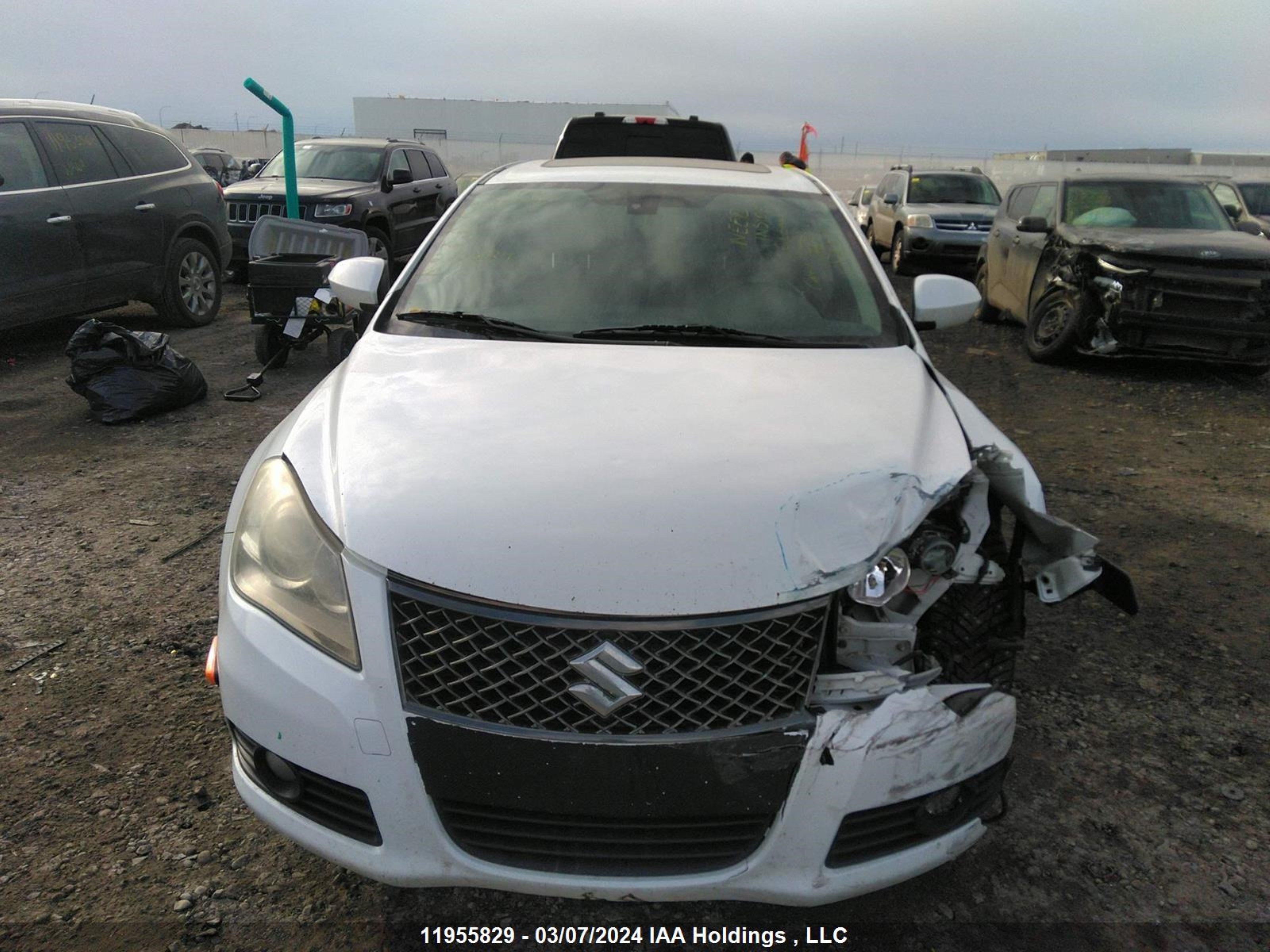 Photo 11 VIN: JS2RF9A71D6100154 - SUZUKI KIZASHI 