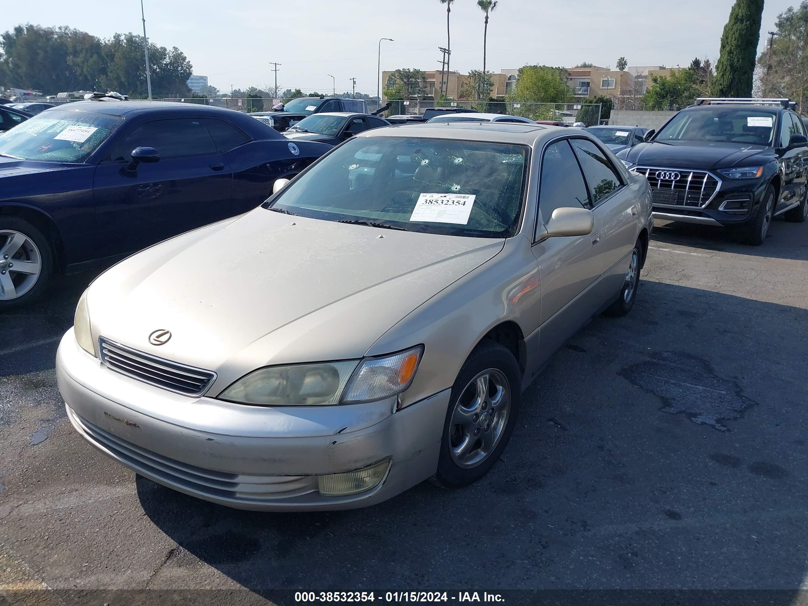 Photo 1 VIN: JT8BF22GXV0036443 - LEXUS ES 