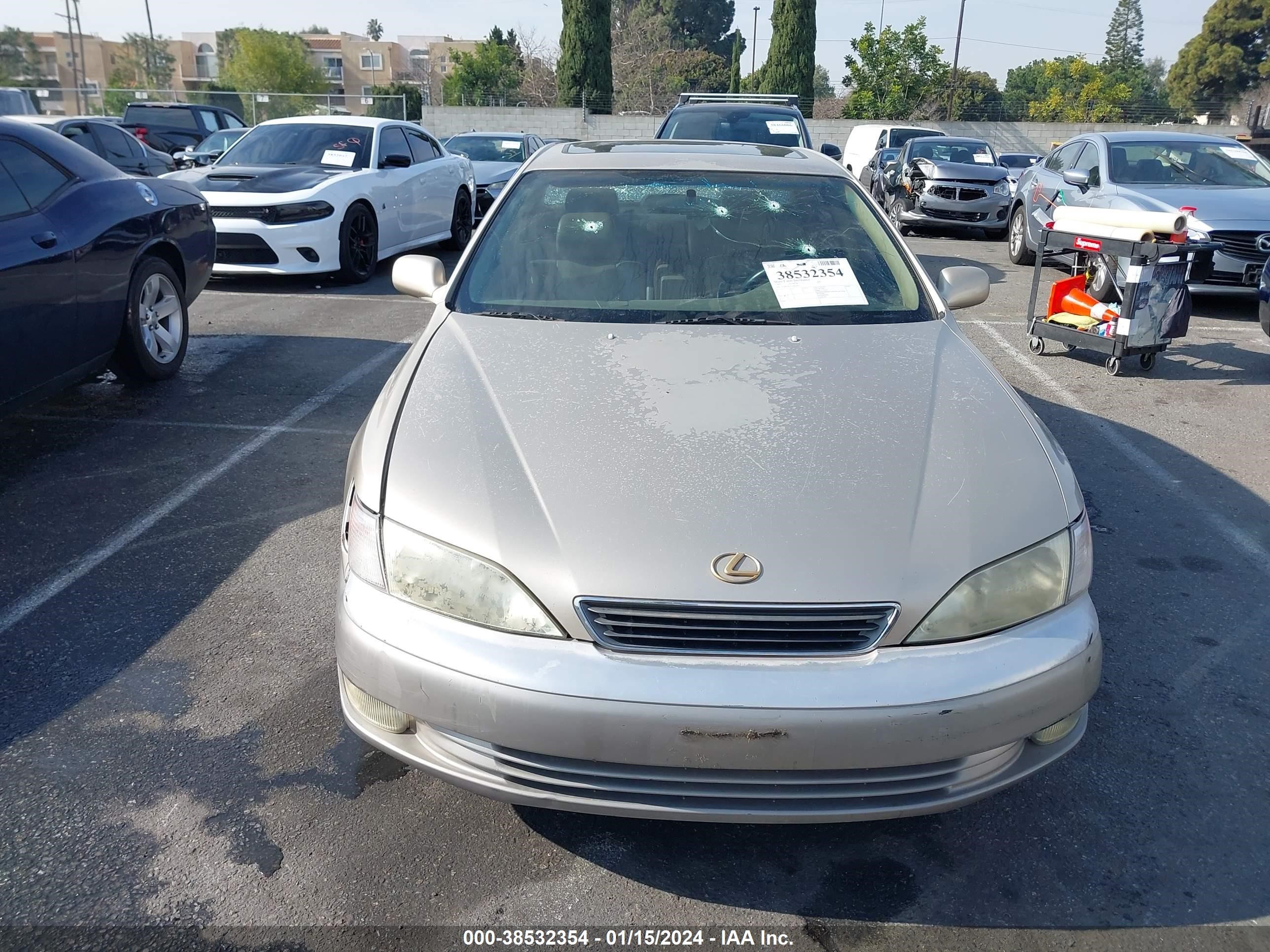 Photo 10 VIN: JT8BF22GXV0036443 - LEXUS ES 