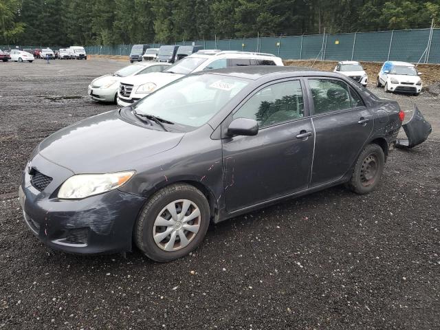 Photo 0 VIN: JTDBL40E799079808 - TOYOTA COROLLA BA 