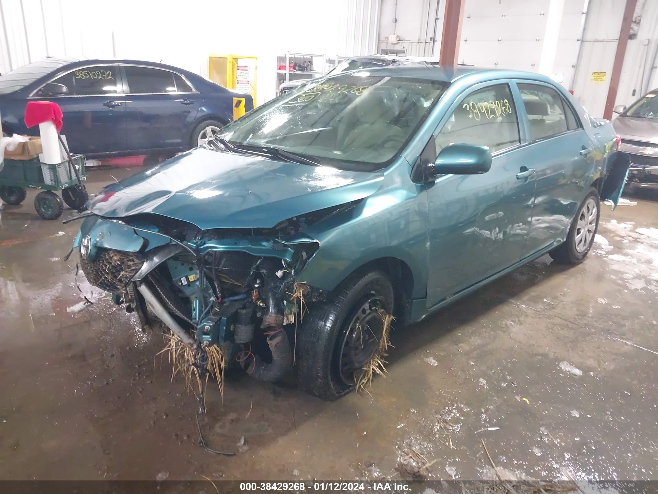 Photo 1 VIN: JTDBL40E899044243 - TOYOTA COROLLA 