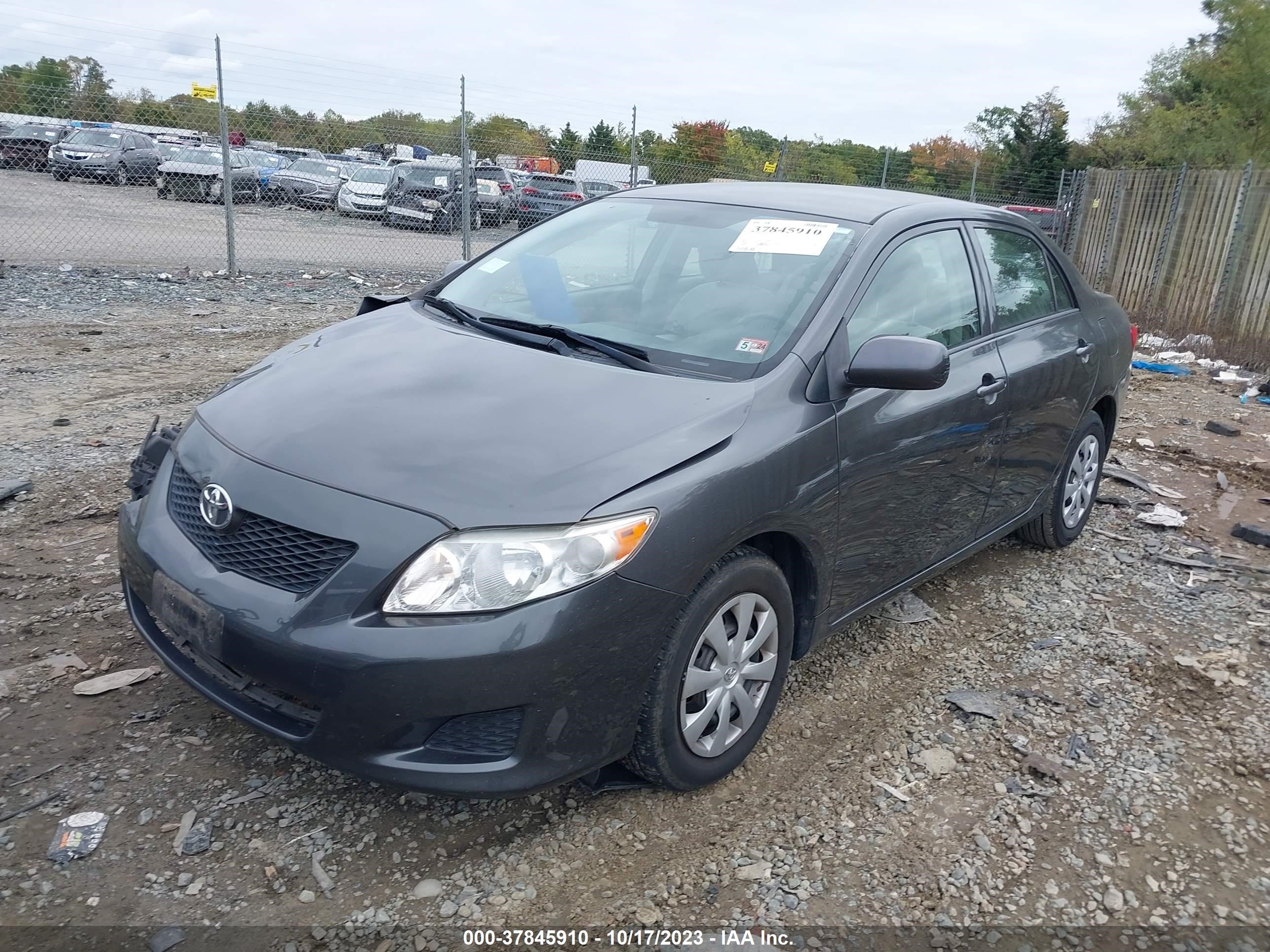 Photo 1 VIN: JTDBL40E899075900 - TOYOTA COROLLA 