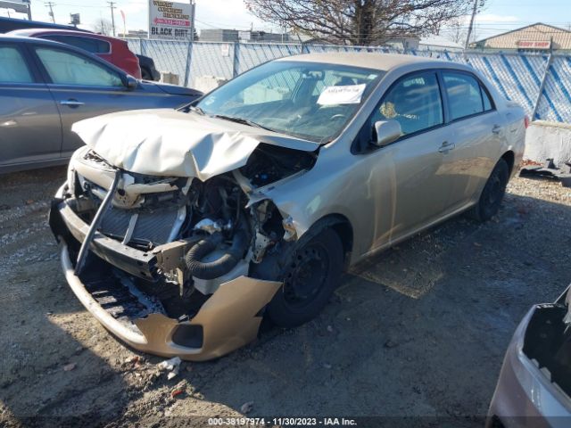 Photo 1 VIN: JTDBU4EE2B9138629 - TOYOTA COROLLA 