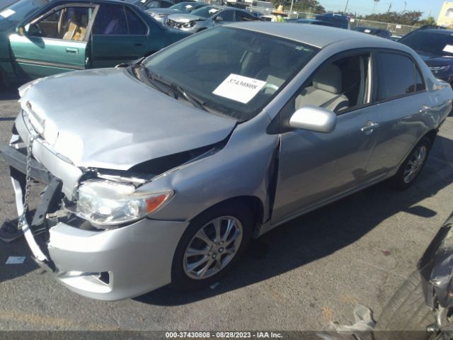 Photo 1 VIN: JTDBU4EE3B9124187 - TOYOTA COROLLA 