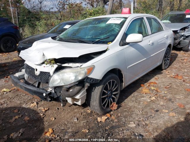 Photo 1 VIN: JTDBU4EE5A9098724 - TOYOTA COROLLA 