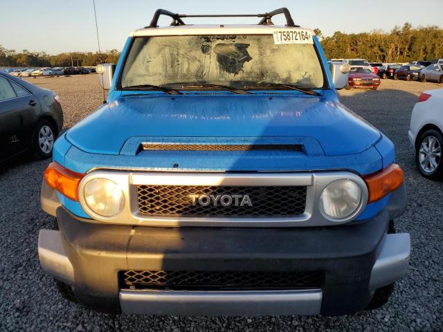 Photo 4 VIN: JTEBU11F070002066 - TOYOTA FJ CRUISER 