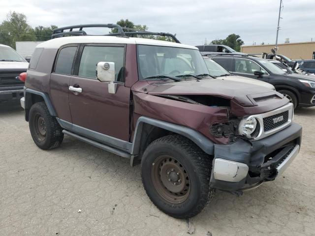 Photo 3 VIN: JTEBU11F070098121 - TOYOTA FJ CRUISER 