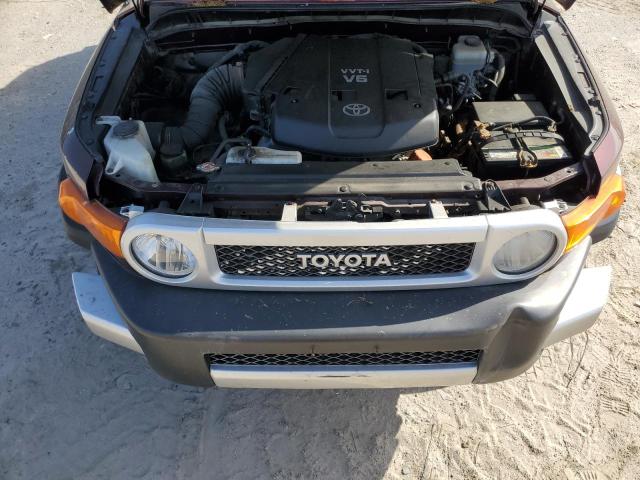 Photo 10 VIN: JTEBU11F170069730 - TOYOTA FJ CRUISER 