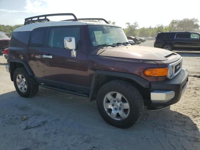 Photo 3 VIN: JTEBU11F170069730 - TOYOTA FJ CRUISER 