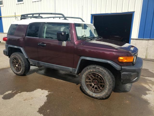 Photo 3 VIN: JTEBU11F470035801 - TOYOTA FJ CRUISER 