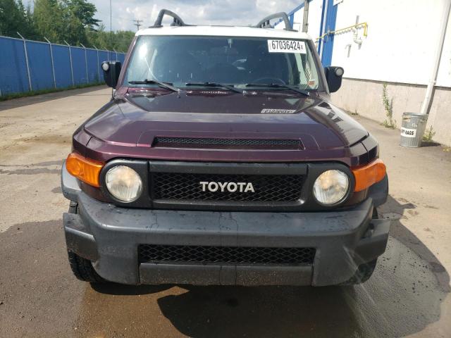 Photo 4 VIN: JTEBU11F470035801 - TOYOTA FJ CRUISER 