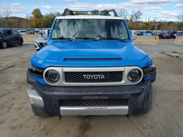 Photo 4 VIN: JTEBU11F670015288 - TOYOTA FJ CRUISER 