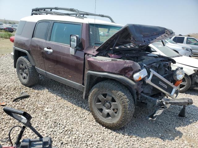 Photo 3 VIN: JTEBU11F770033962 - TOYOTA FJ CRUISER 