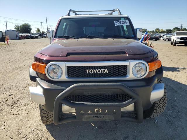 Photo 4 VIN: JTEBU11FX70059911 - TOYOTA FJ CRUISER 