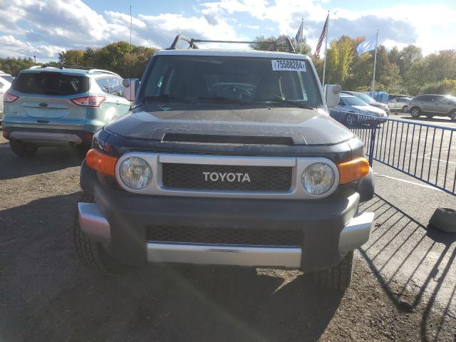 Photo 4 VIN: JTEBU4BF1AK073904 - TOYOTA FJ CRUISER 