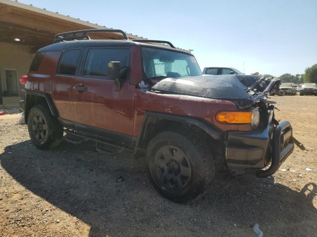 Photo 3 VIN: JTEBU4BF1AK095160 - TOYOTA FJ CRUISER 