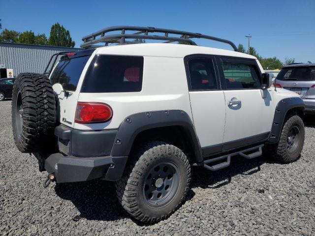 Photo 2 VIN: JTEBU4BF3AK080420 - TOYOTA FJ CRUISER 