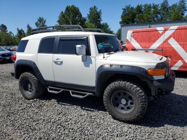 Photo 3 VIN: JTEBU4BF3AK080420 - TOYOTA FJ CRUISER 