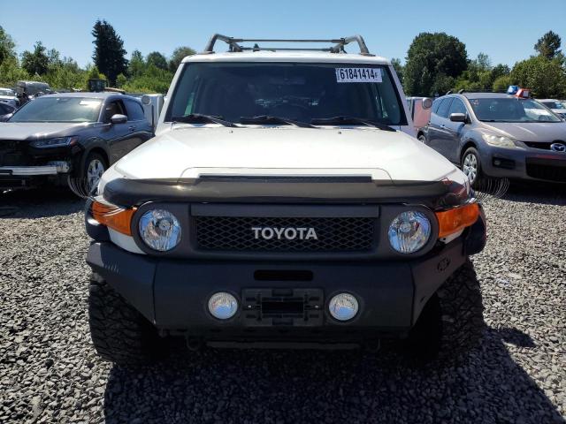 Photo 4 VIN: JTEBU4BF3AK080420 - TOYOTA FJ CRUISER 